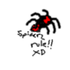 spiidrz